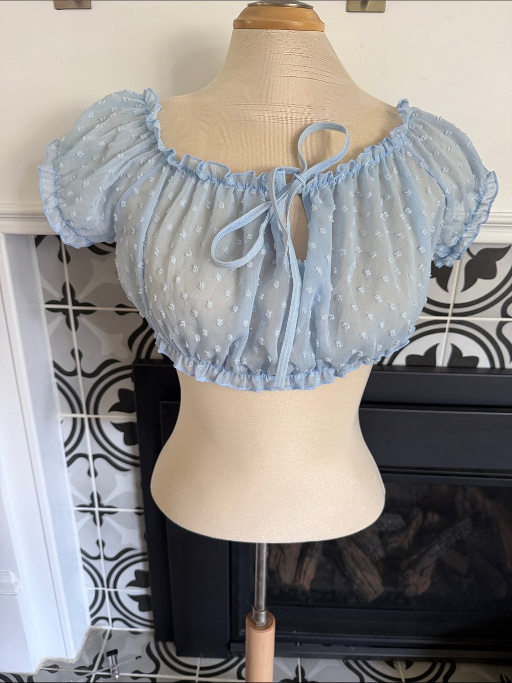 Sheer Light Blue Swiss Dot Crop Top with Tie Front